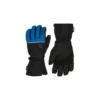 Gants De Ski Rossignol Fusion Impr Bleu Homme